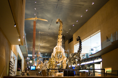 Click to enlarge DSC_2100.jpg