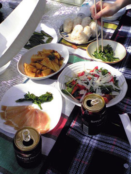 hanami08041204.jpg