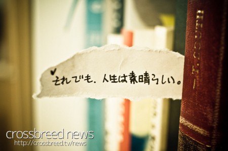news_logo001