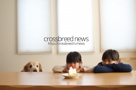 news_logo002