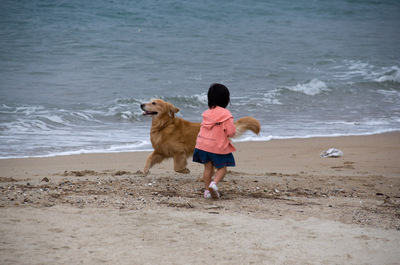Click to enlarge DSC_1764.jpg