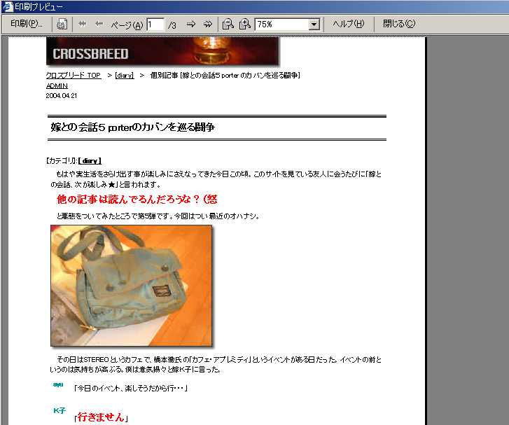 IEによる印刷プレビューイメージ