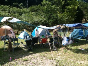 IMG_0634