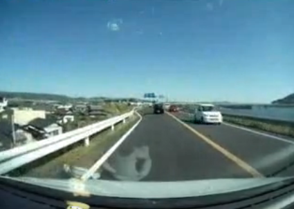 Thumbnail of post image 123