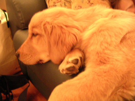 Thumbnail of post image 008