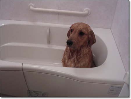 Thumbnail of post image 044