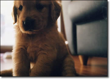 Thumbnail of related posts 062