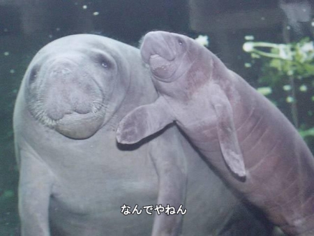 Thumbnail of post image 032