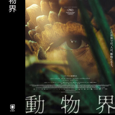 動物界